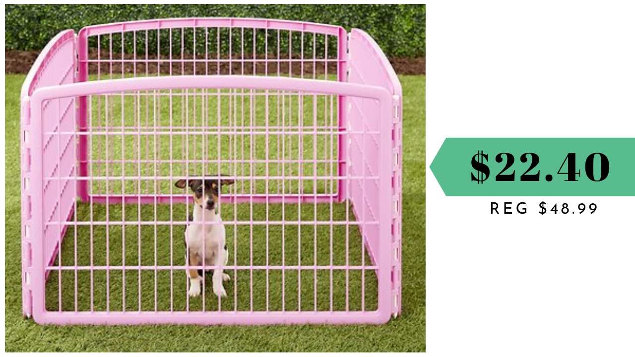 dog playpen target