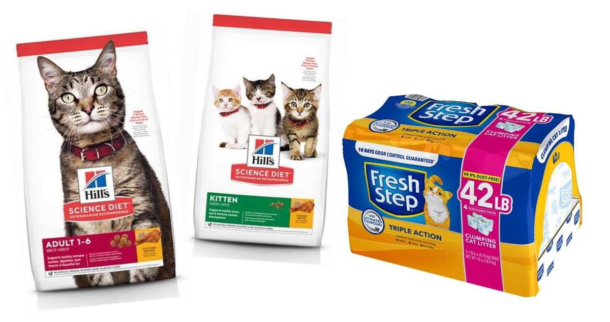 chewy science diet cat food