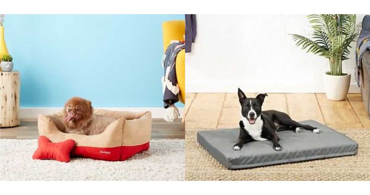 dog beds