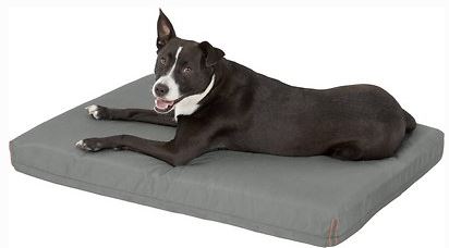 chewy dog bed coupon