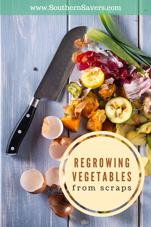 Save even more money on groceries with a unique method—did you know you can regrow vegetables from kitchen scraps? I've got all your basic veggies covered!