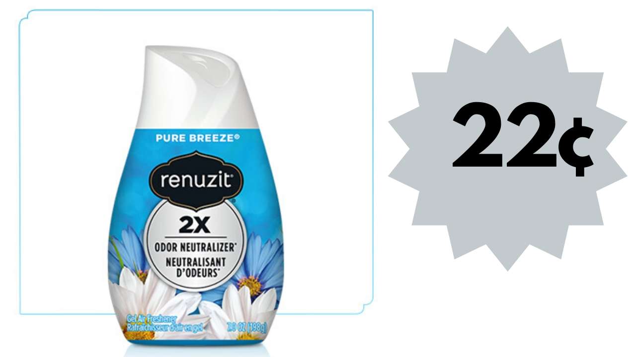 New $2/6 Renuzit Coupon | As Low As 22¢ :: Southern Savers