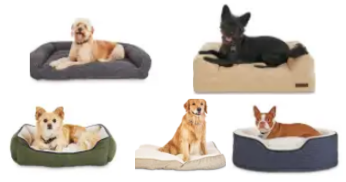 Petco Sale Dog Beds Starting at 10 Southern Savers