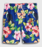 toddler toucan swim trunks