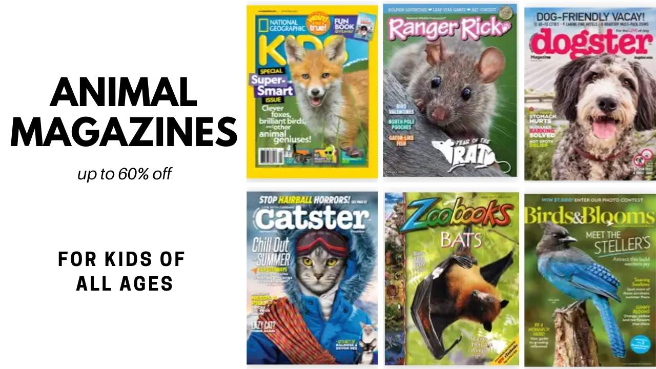 Up to 60% off Kids Animal Magazines :: Southern Savers