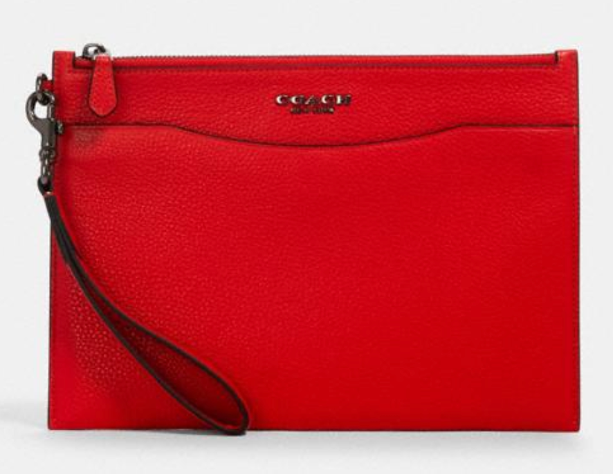 coach slim pouch