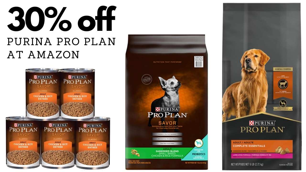 amazon pro plan dog food