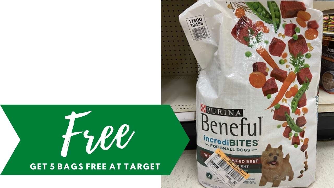 purina dog food target