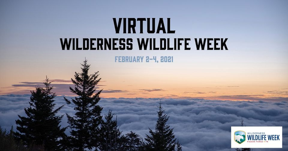 Free Online Wilderness Wildlife Week For All Ages Southern Savers