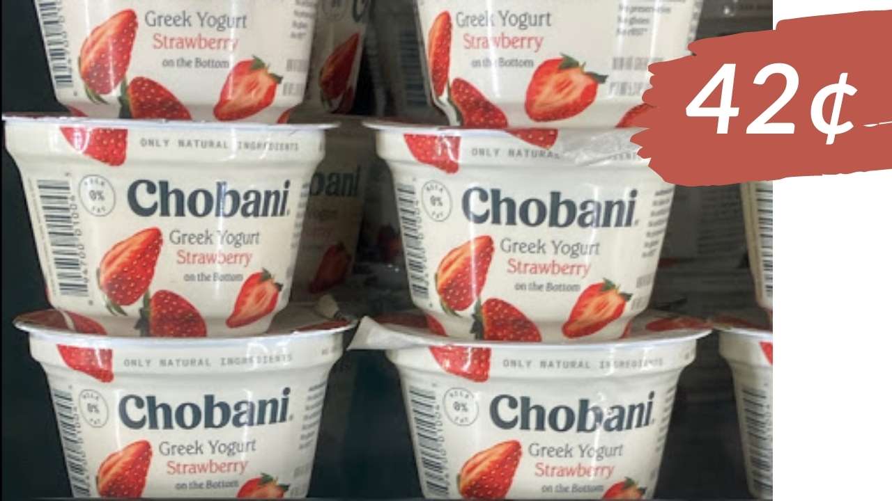 Chobani Greek Yogurt Deals at Stores All Around Town Southern Savers
