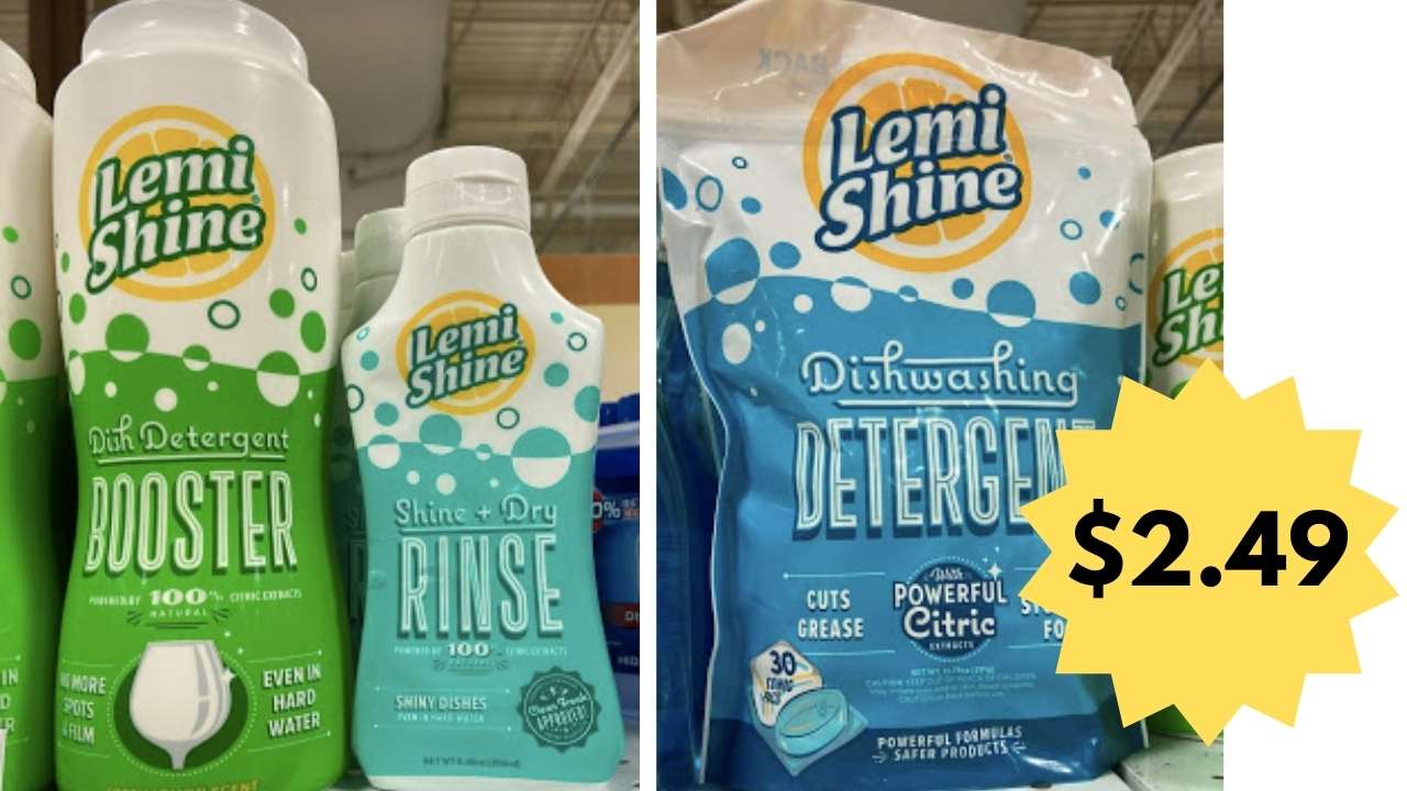 2.49 Lemi Shine Dish Care at Publix Southern Savers