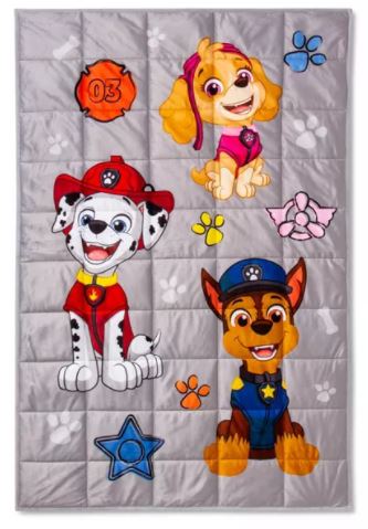 paw patrol blanket
