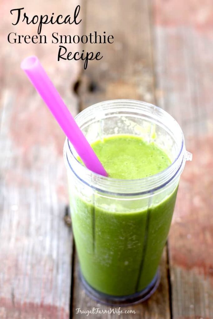 10 Healthy and Frugal Smoothie Recipes :: Southern Savers