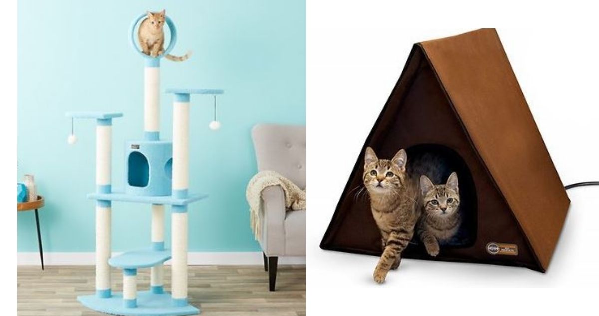 Chewy Sale 40 Off Cat Trees, Condos & Scratchers Southern Savers
