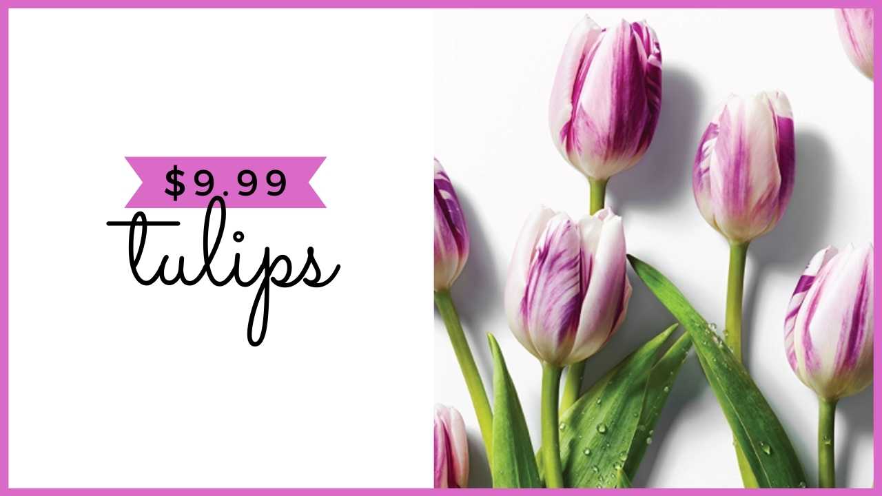 whole foods tulips