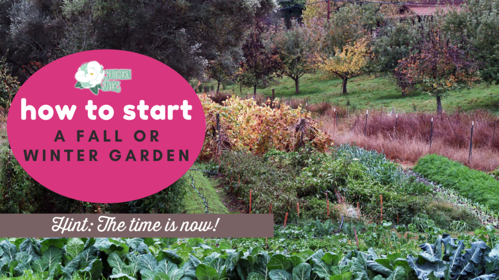 How To Start A Fall Or Winter Garden, When Should I Start A Fall Garden