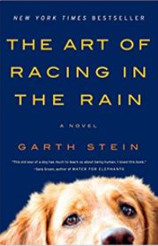 the art of racing in the rain book