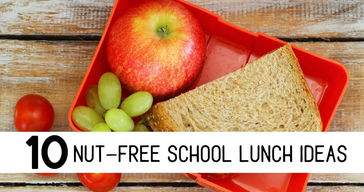 nut-free school lunch ideas