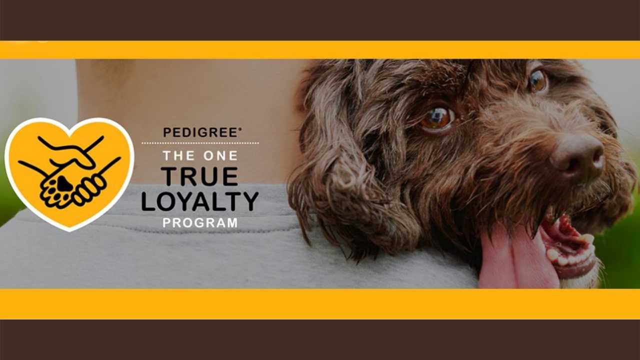 pedigree dog adoption rebate