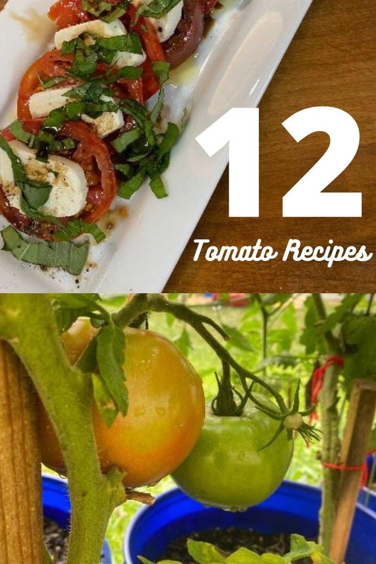 12 Garden Tomato Recipes