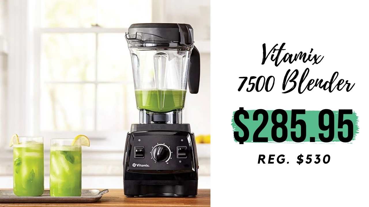 vitamix flash sale