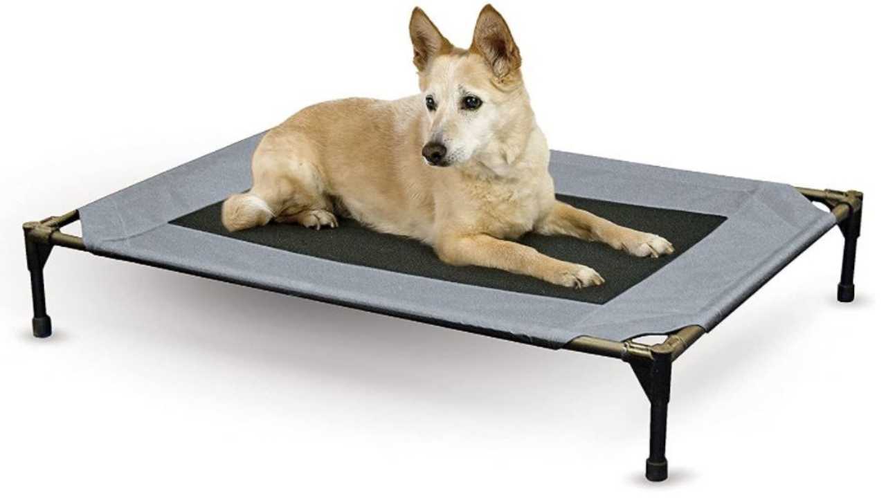 pet bed