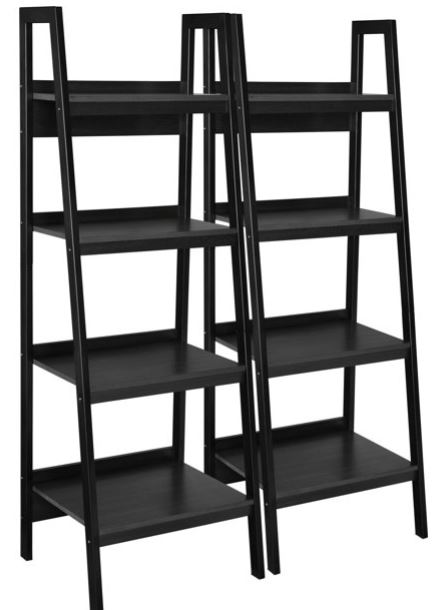 ladder bookcase