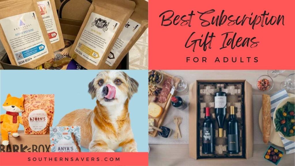Best Subscription Gift Ideas for Adults Southern Savers