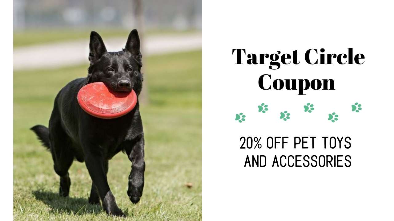 target circle pet