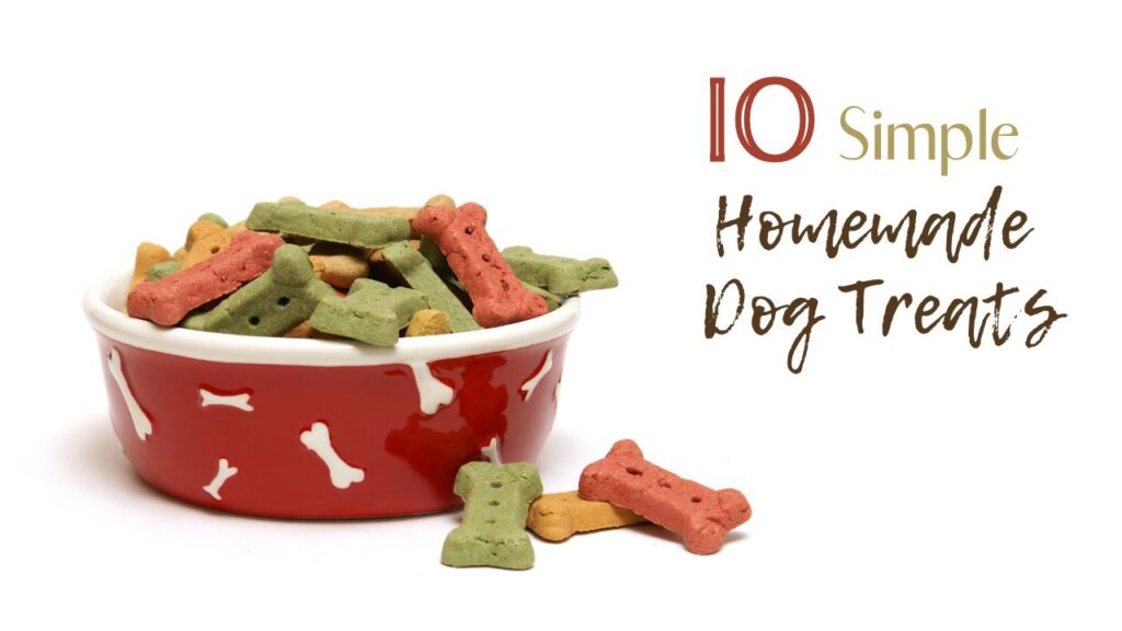10 Simple Homemade Dog Treats Southern Savers