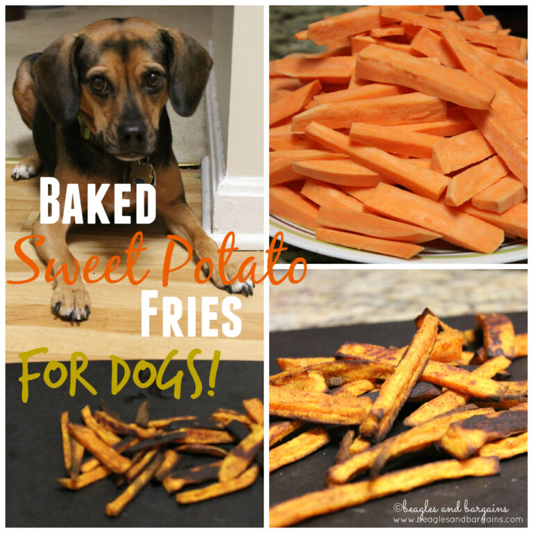 10 Simple Homemade Dog Treats Southern Savers