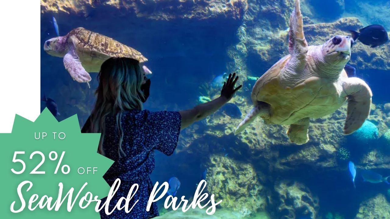Up to 52 Off Admission to SeaWorld Parks LaptrinhX / News