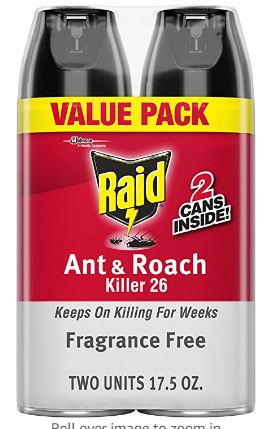 raid ant spray