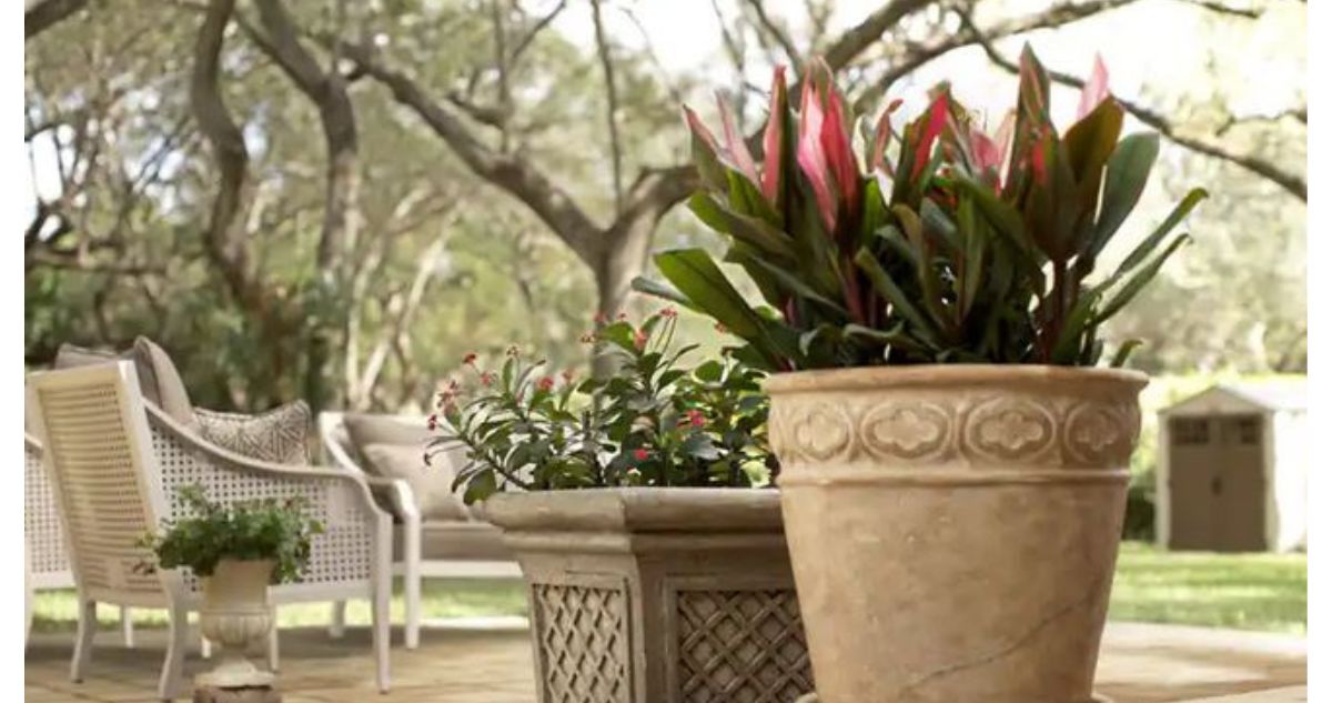 Terracotta Clay Planter for $4.98 :: Southern Savers