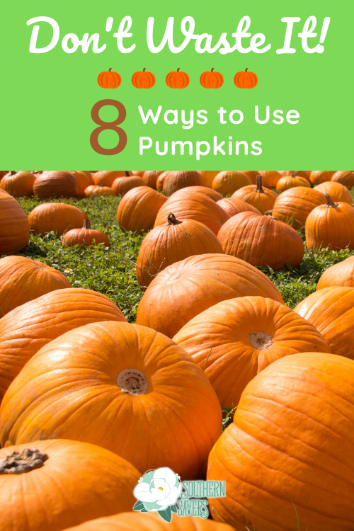 These 8 ways to use pumpkins have some delicious options and will keep you from wasting your pumpkins as you use them for fall decor