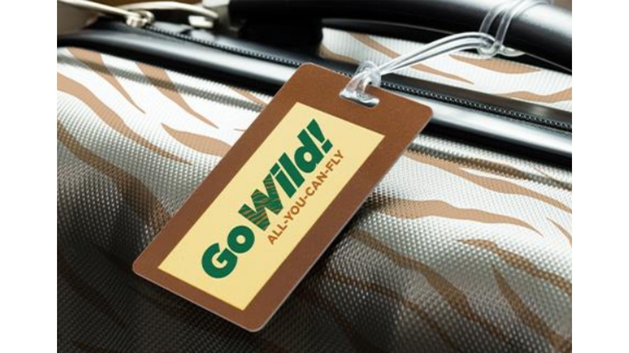 Frontier AllYouCanFly Pass Only 299 Southern Savers
