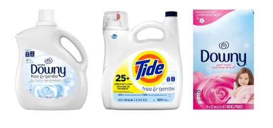 downy-tide-gain-mail-in-rebates-deals-at-publix-southern-savers