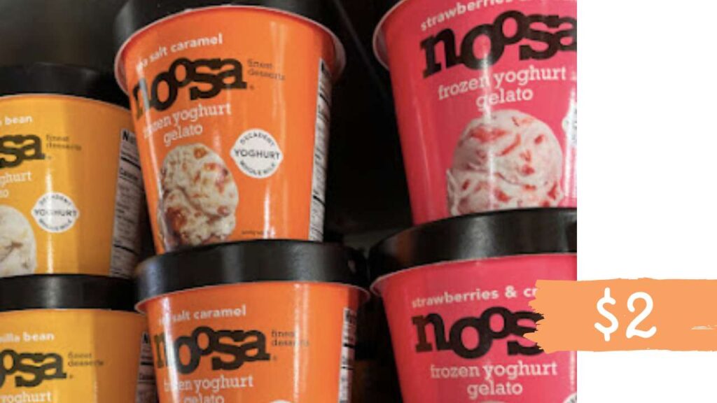 Noosa Rebate 2 Frozen Yoghurt Gelato at Target Southern Savers