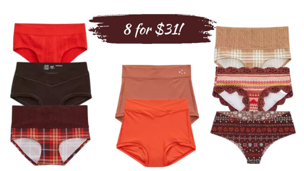 Aerie Panties 8 for 31 Southern Savers