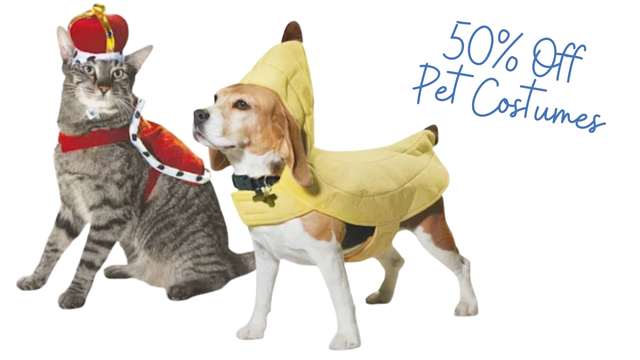 pet costumes