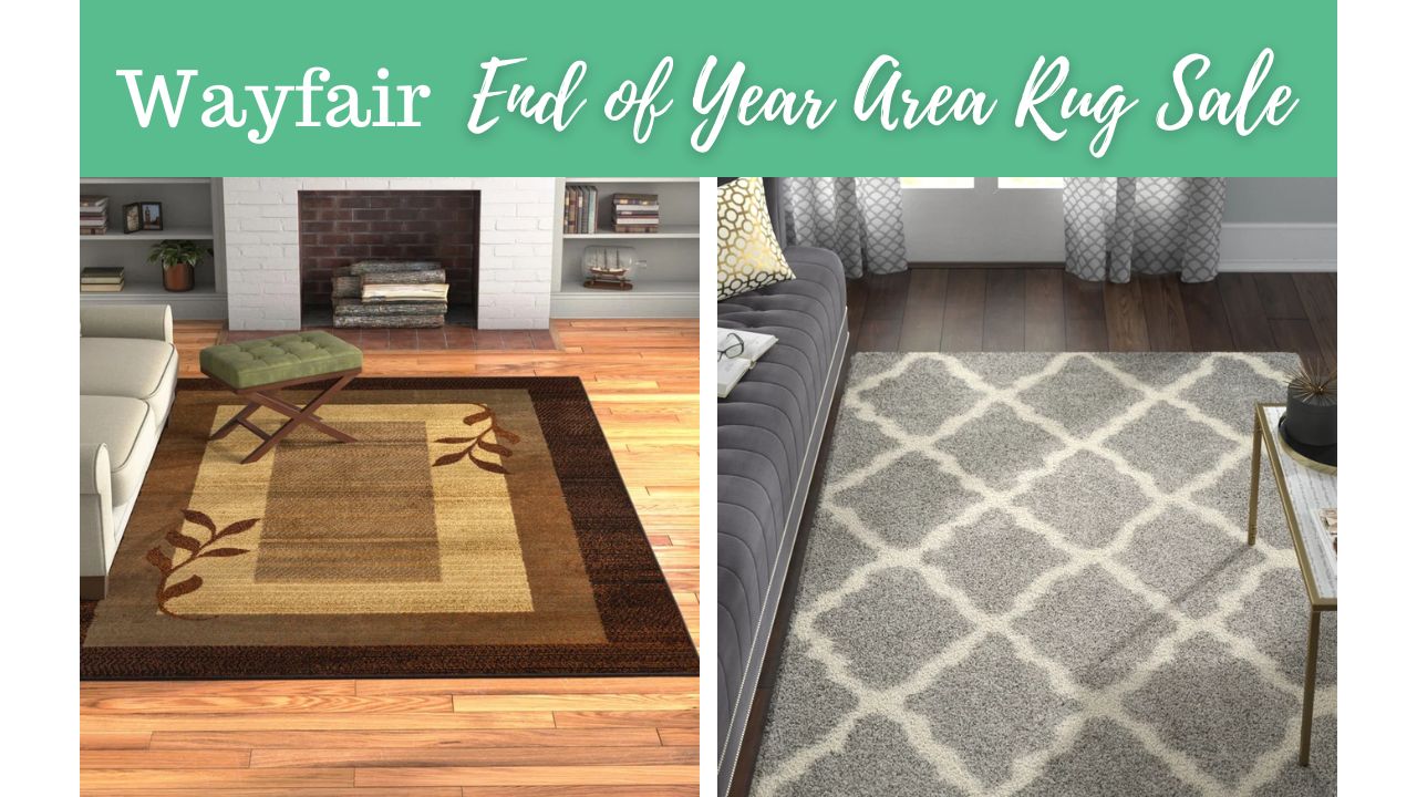 Area Rugs Up to 80 Off at Wayfair Southern Savers