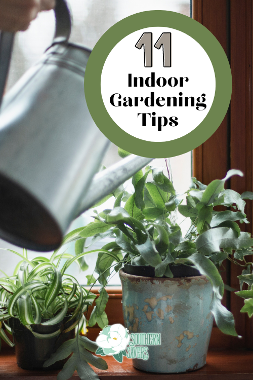 Having plants indoor is a great way to add some interest and beauty to your home! Here are my 11 indoor gardening tips so you can keep them alive!