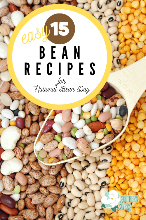 Did you know January 6 is National Bean Day? With the rising cost of meat, cooking vegetarian isn't a bad idea! Here are 15 easy bean recipes.