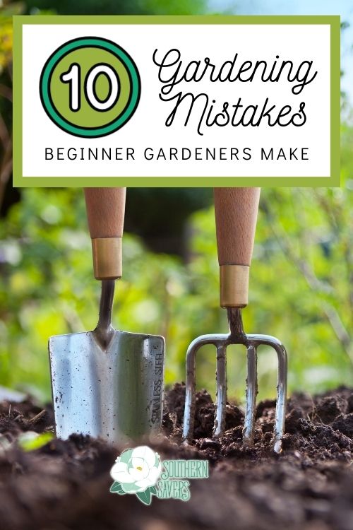 If you're planning your first garden, be sure to avoid these top 10 gardening mistakes to ensure you have a fruitful and thriving garden!