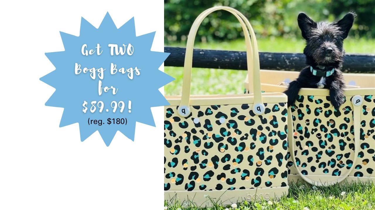 Limited Edition Bogg Bag Bundle 90 (reg. 180) Southern Savers