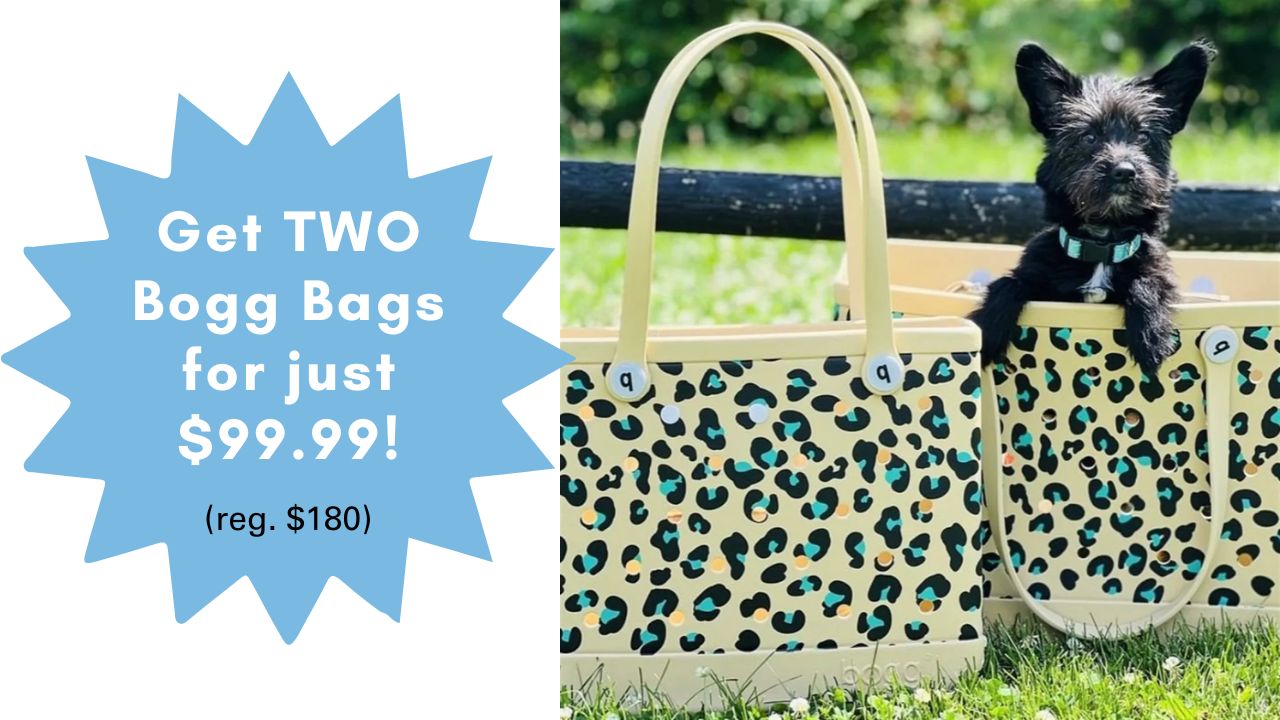 2 Baby Bogg Bags & 2 Boozies for $75 (reg. $190) :: Southern Savers