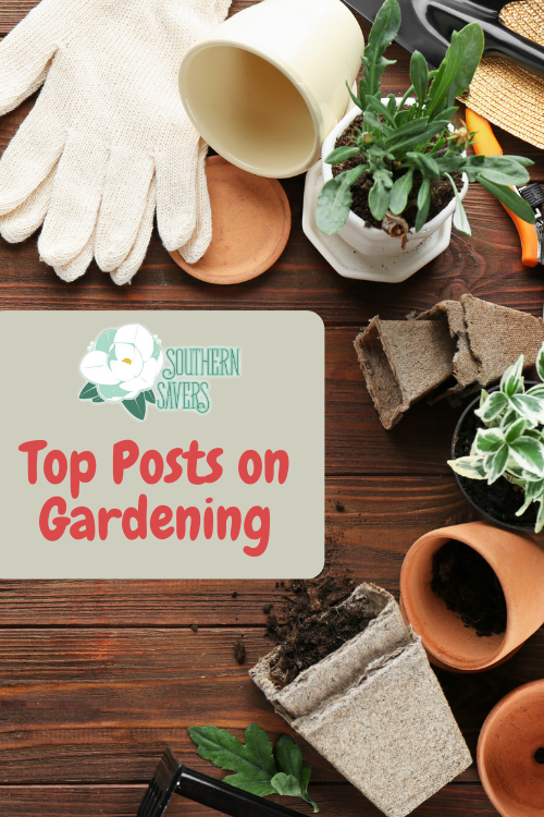 Here are all of our top gardening posts -- a comprehensive list of all the gardening resources we share at Southern Savers! 