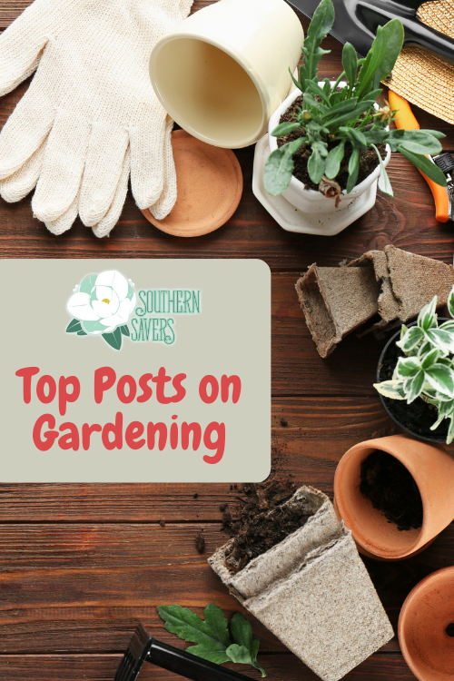 Here are all of our top gardening posts -- a comprehensive list of all the gardening resources we share at Southern Savers!