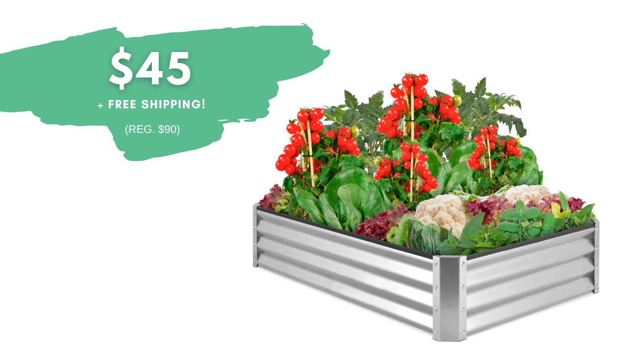 Outdoor Raised Bed Garden 45 Shipped (reg. 90) Southern Savers