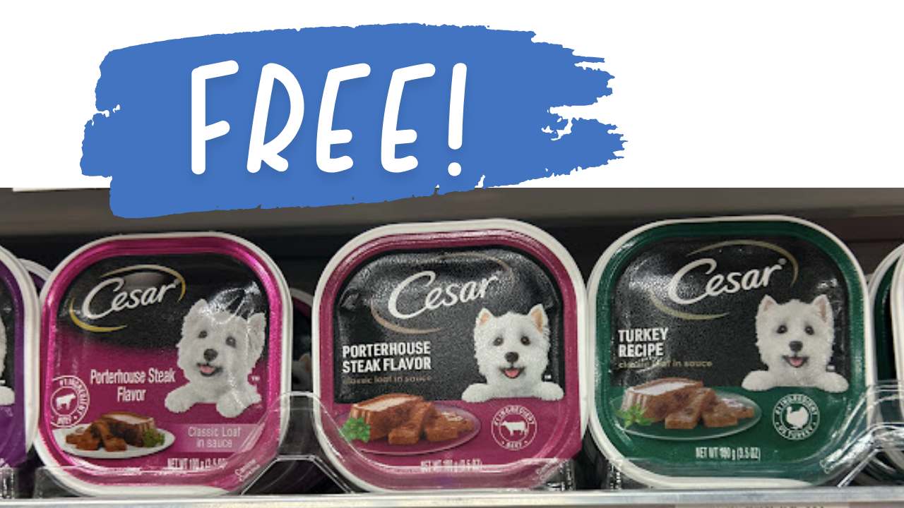 Money Maker Cesar Wet Dog Food at Publix! Southern Savers